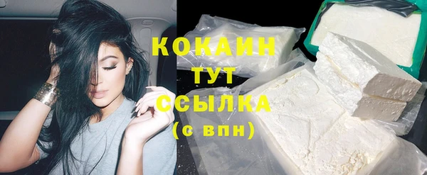 сатива Краснослободск