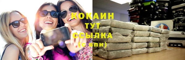 сатива Краснослободск