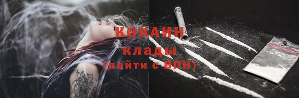 сатива Краснослободск