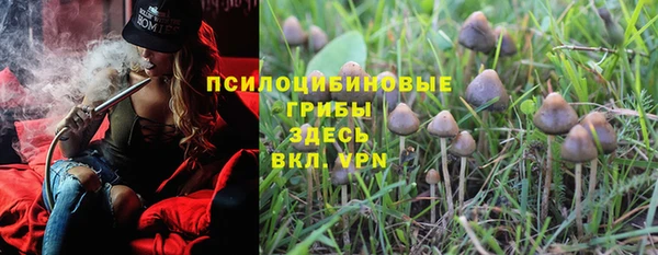 индика Красноперекопск