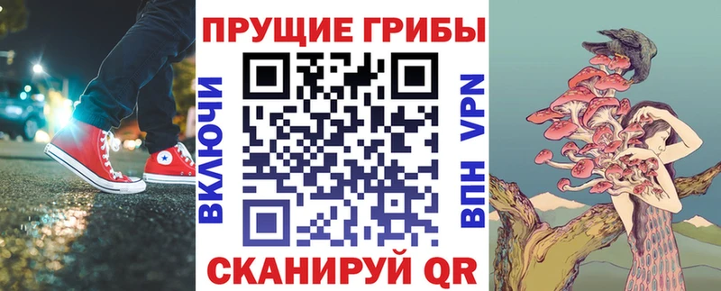 Купить закладки  Берёзовский  Псилоцибиновые грибы Magic Shrooms 